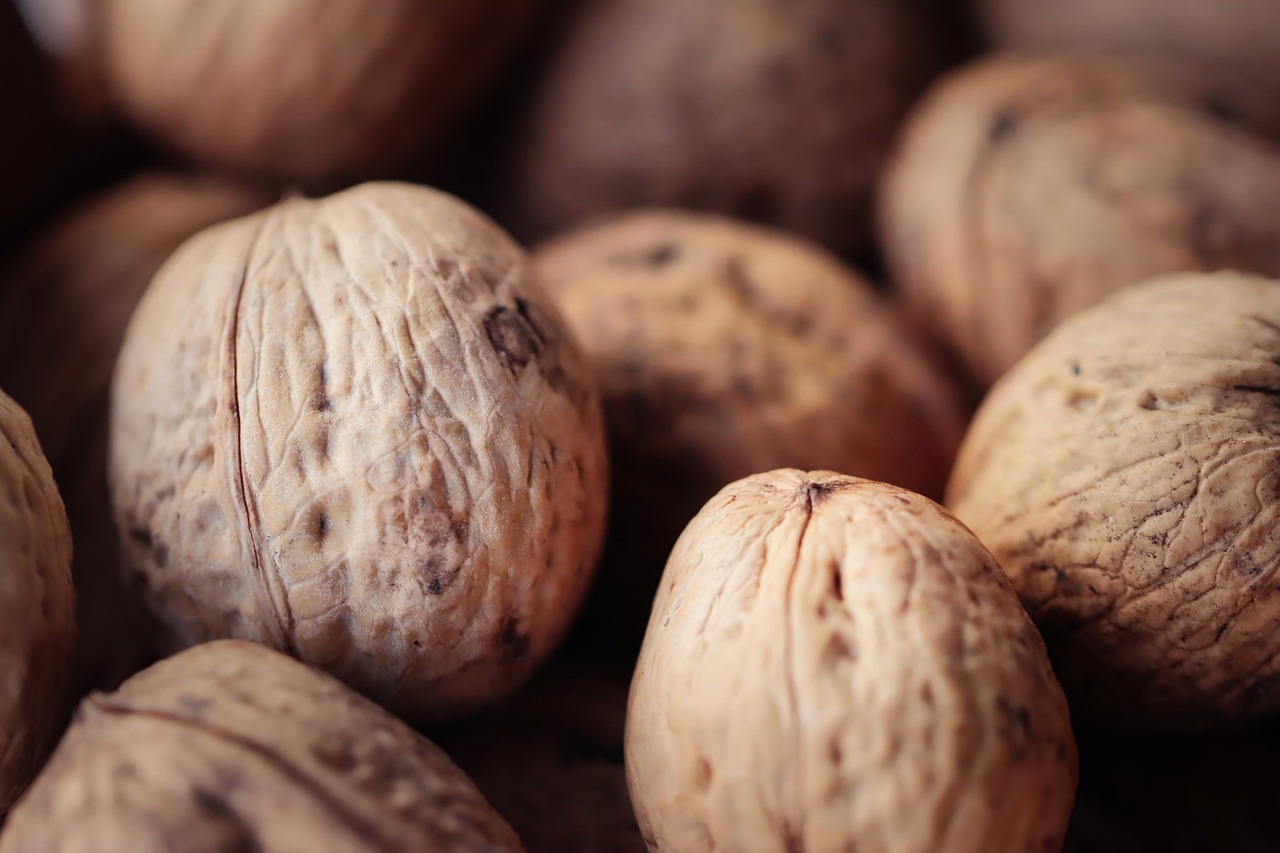 长安幻想:详情下载教程去信app