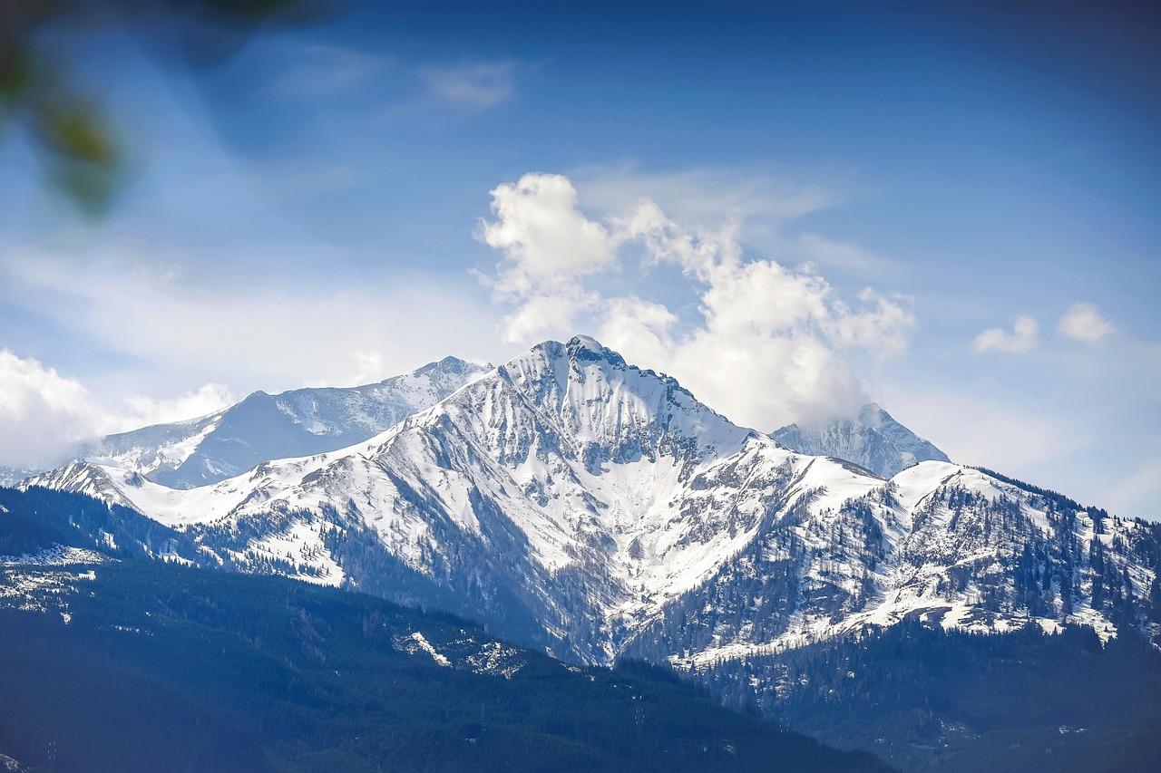 方盒绿大熊猫:卧龙吟代理平台