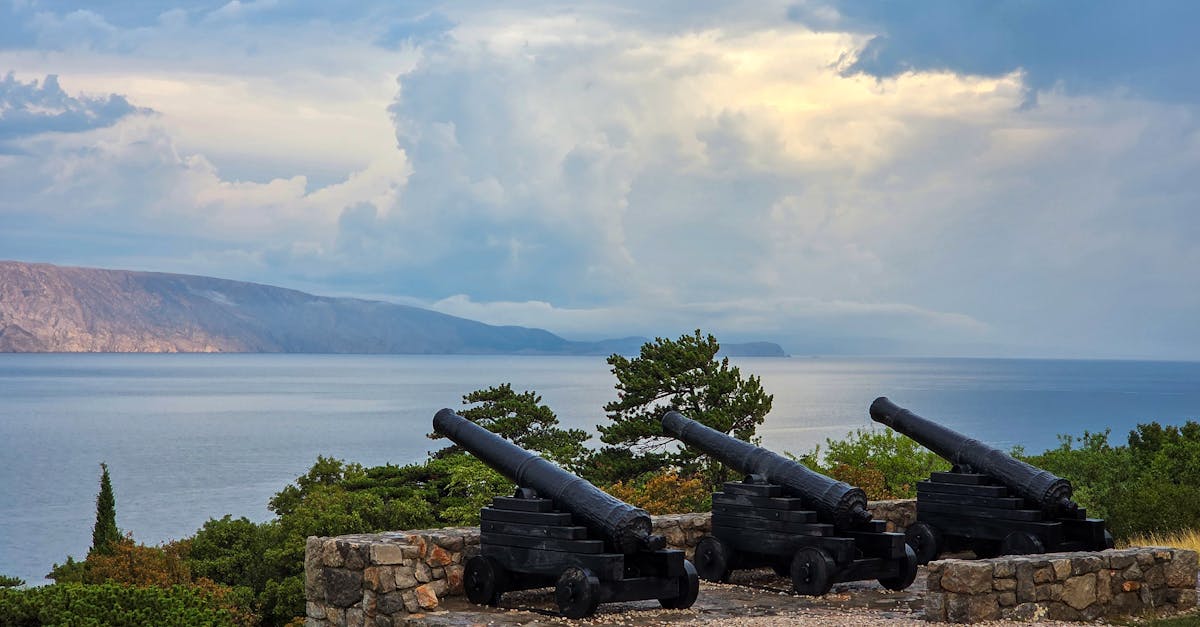 双生视界:商标代理注册分录