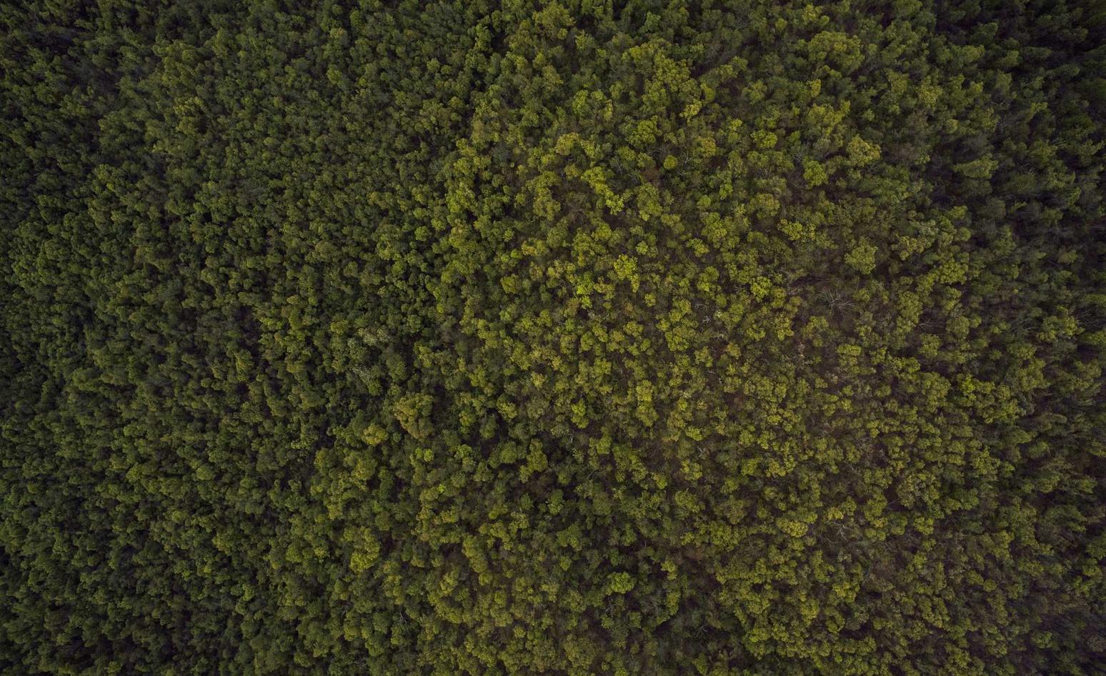 实名QQ号买卖：泾阳注册代理服务