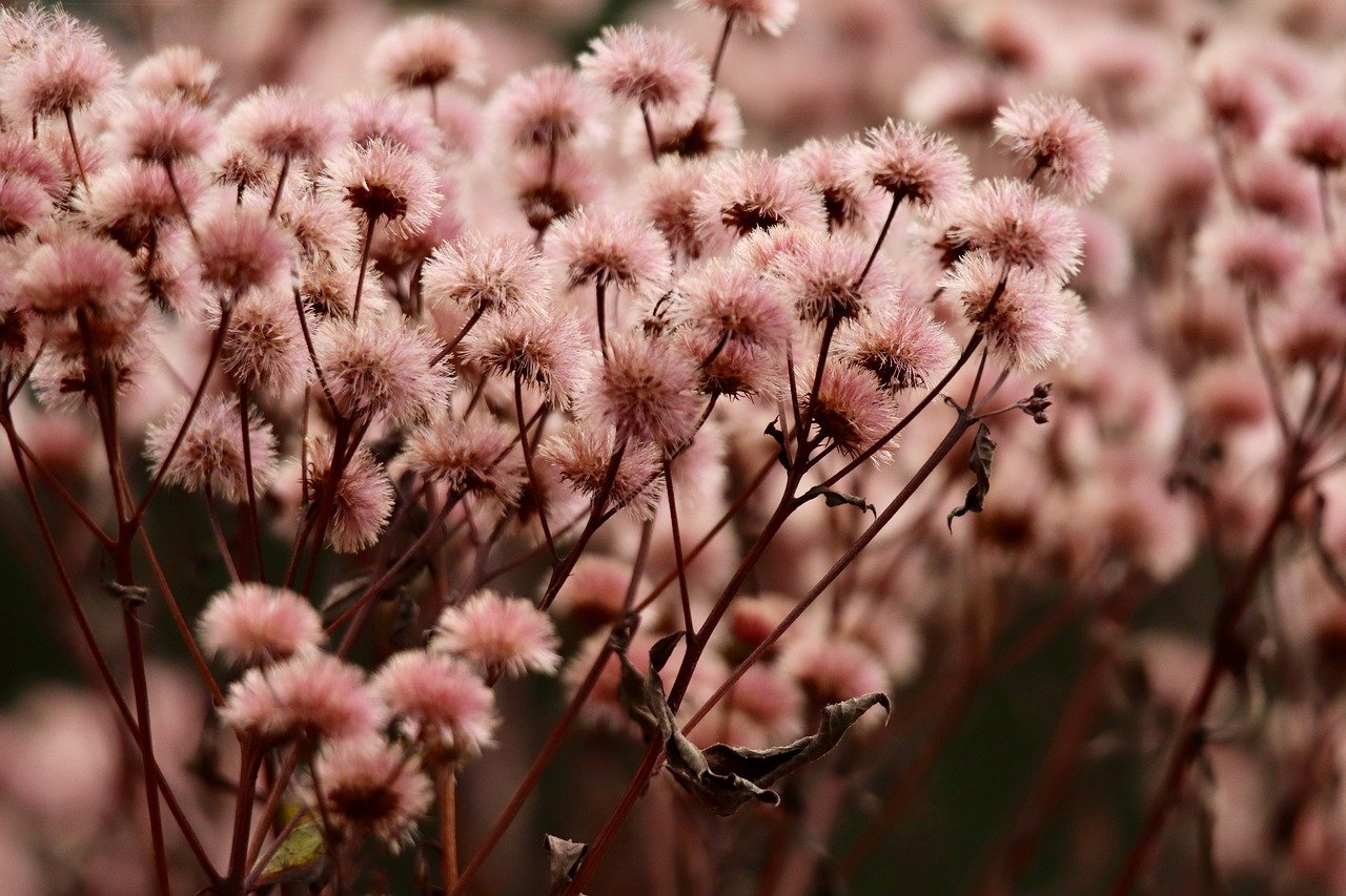 出售微信号码：电信通代理平台