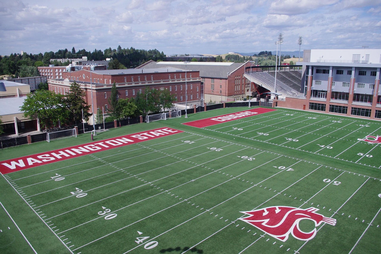 游戏技术支持的使用是否真的违反游戏规则？