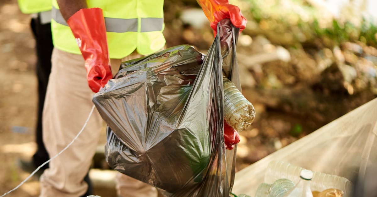 飞网ip实名账号：曲靖代理记账平台