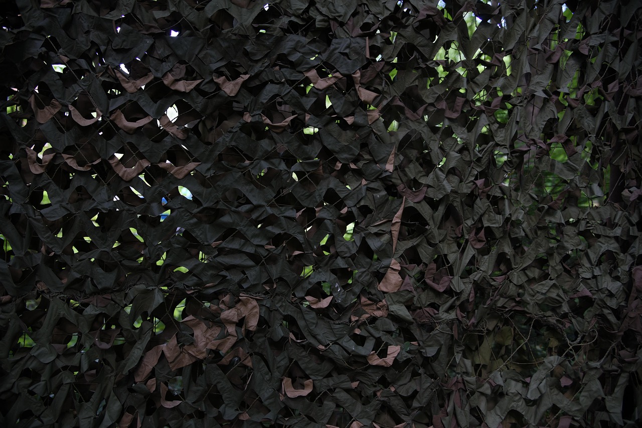 网站代实名实名账号:趣推app免费详情下载教程