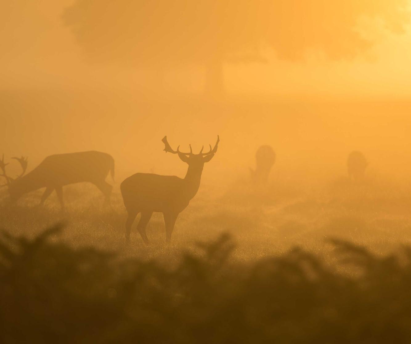 DDOS在线压力测试|广告开户合作平台